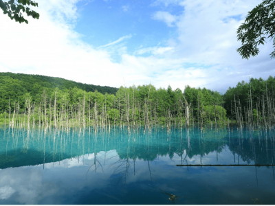 北海道