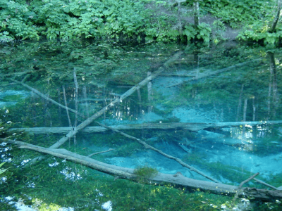 北海道